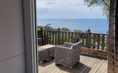 6eb52c0f-427a-4425-8abc-ffdda72c9783