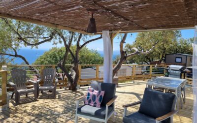 WhatsApp Image 2023-05-17 at 18.57.18 - kopie