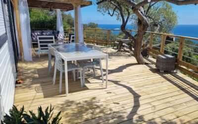 WhatsApp Image 2023-05-17 at 18.57.21 (3)