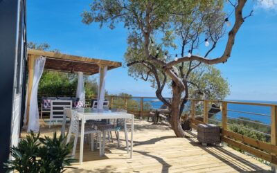 WhatsApp Image 2023-05-17 at 18.57.21